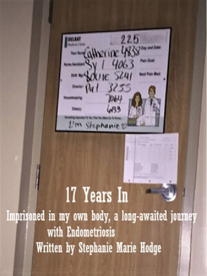 cover image of 17 Years In